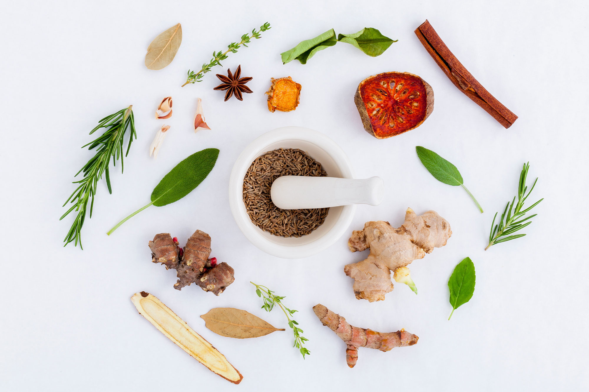 Il Biologo Nutrizionista